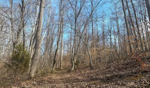 Photo #11 of 14928 DOVEY RD, SPOTSYLVANIA, VA 3.1 acres