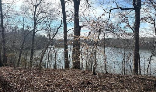 Photo #4 of DOVEY RD, SPOTSYLVANIA, VA 9.1 acres