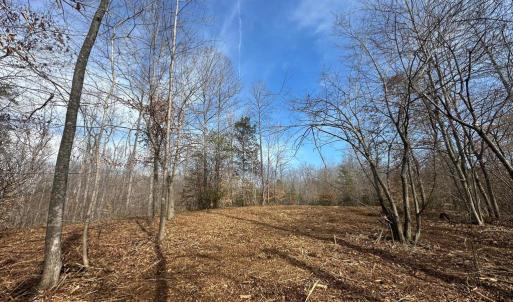 Photo #6 of DOVEY RD, SPOTSYLVANIA, VA 9.1 acres