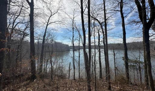 Photo #8 of DOVEY RD, SPOTSYLVANIA, VA 12.2 acres