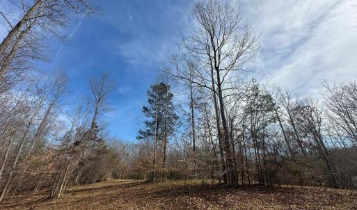 Photo #10 of DOVEY RD, SPOTSYLVANIA, VA 12.2 acres