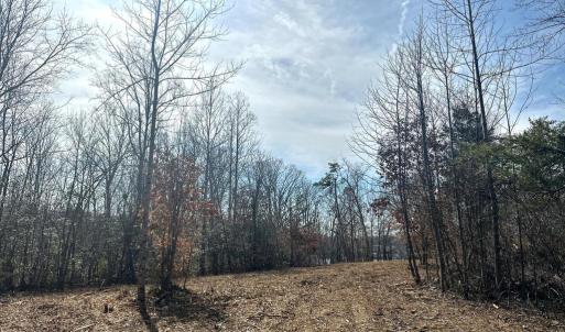 Photo #12 of DOVEY RD, SPOTSYLVANIA, VA 12.2 acres
