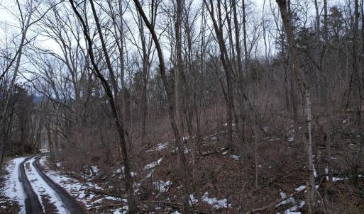 Photo #14 of 480 BEYLORS FERRY RD, RILEYVILLE, VA 4.9 acres