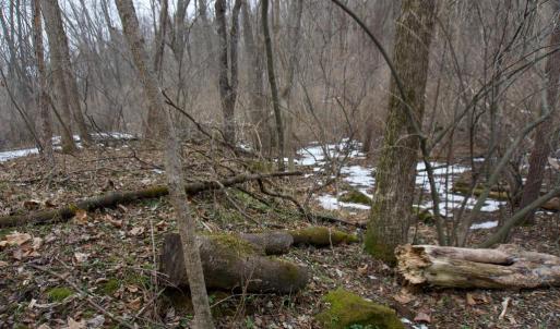 Photo #15 of 480 BEYLORS FERRY RD, RILEYVILLE, VA 4.9 acres