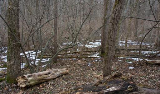 Photo #16 of 480 BEYLORS FERRY RD, RILEYVILLE, VA 4.9 acres