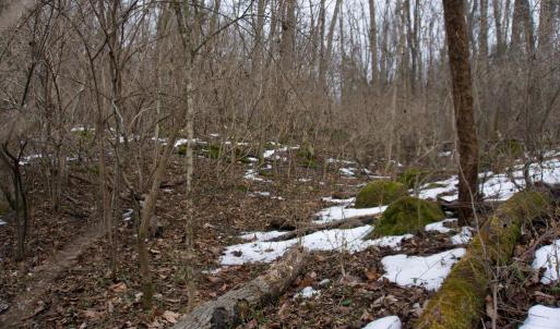 Photo #18 of 480 BEYLORS FERRY RD, RILEYVILLE, VA 4.9 acres