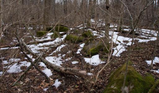 Photo #19 of 480 BEYLORS FERRY RD, RILEYVILLE, VA 4.9 acres