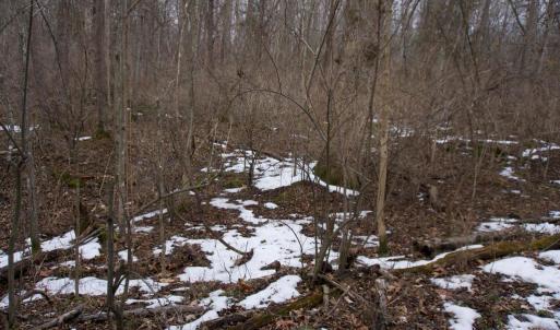 Photo #20 of 480 BEYLORS FERRY RD, RILEYVILLE, VA 4.9 acres