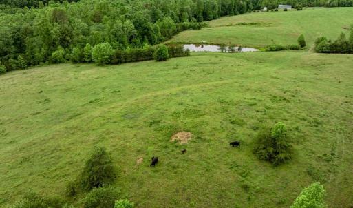 Photo #33 of 50 ELIZABETH, LOUISA, VA 28.5 acres
