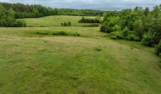 Photo #23 of 50 ELIZABETH, LOUISA, VA 28.5 acres