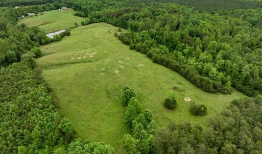 Photo #31 of 50 ELIZABETH, LOUISA, VA 28.5 acres