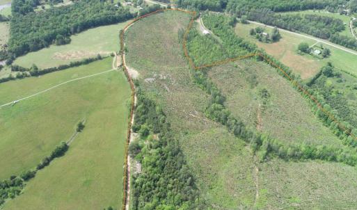 Photo #2 of WEST RIVER ROAD (TRACT: JR C.B. MOON-2), SCOTTSVILLE, VA 142.0 acres