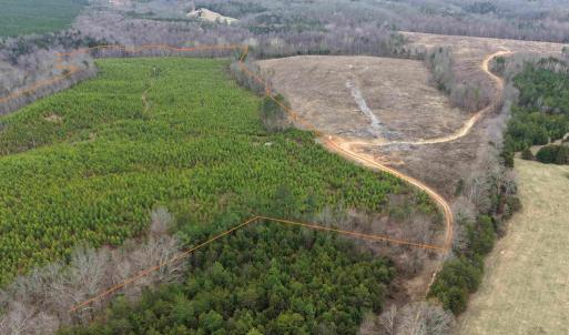 Photo #3 of WEST RIVER ROAD (TRACT: JR C.B. MOON-2), SCOTTSVILLE, VA 142.0 acres