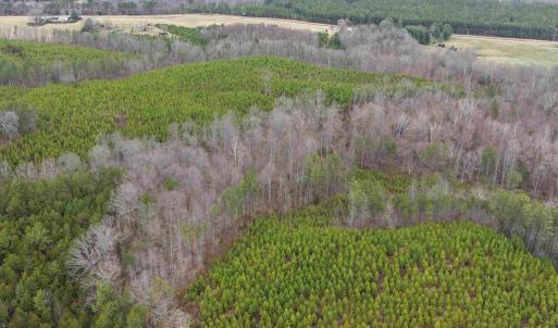 Photo #6 of WEST RIVER ROAD (TRACT: JR C.B. MOON-2), SCOTTSVILLE, VA 142.0 acres