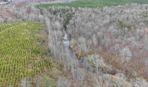 Photo #9 of WEST RIVER ROAD (TRACT: JR C.B. MOON-2), SCOTTSVILLE, VA 142.0 acres