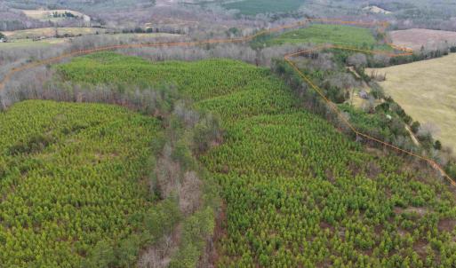 Photo #4 of WEST RIVER ROAD (TRACT: JR C.B. MOON-2), SCOTTSVILLE, VA 142.0 acres