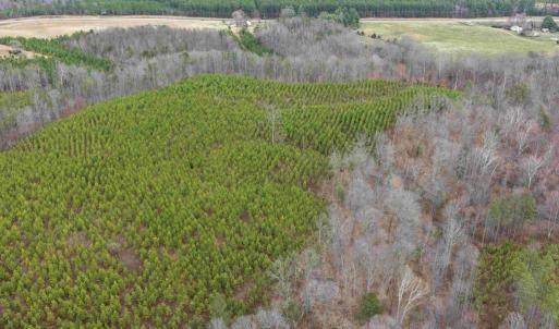 Photo #5 of WEST RIVER ROAD (TRACT: JR C.B. MOON-2), SCOTTSVILLE, VA 142.0 acres