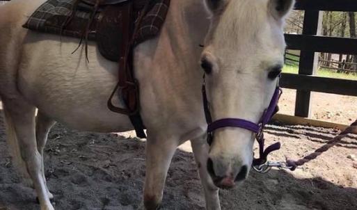 Photo #15 of 144 JEFFERSON AVE, LOCUST GROVE, VA