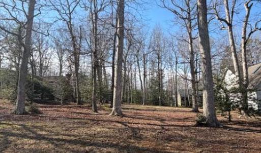 Photo #3 of 144 JEFFERSON AVE, LOCUST GROVE, VA