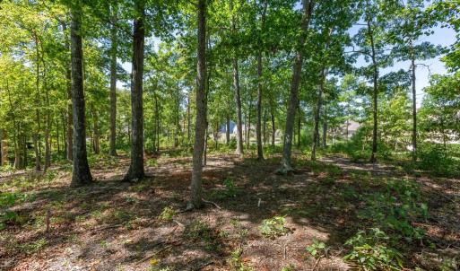 Photo #11 of 10821 PINNACLE DR, SPOTSYLVANIA, VA 1.4 acres