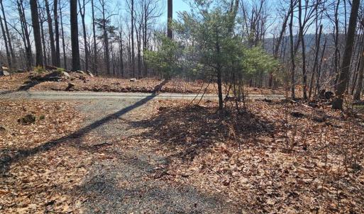 Photo #2 of 2245 RED BIRD DR, STANARDSVILLE, VA 31.9 acres