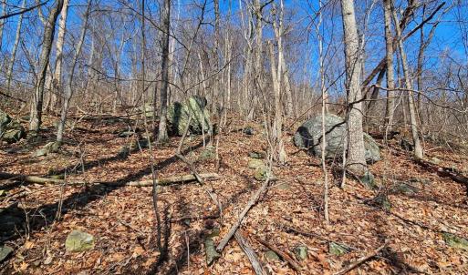 Photo #10 of 2245 RED BIRD DR, STANARDSVILLE, VA 31.9 acres