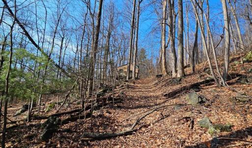 Photo #4 of 2245 RED BIRD DR, STANARDSVILLE, VA 31.9 acres