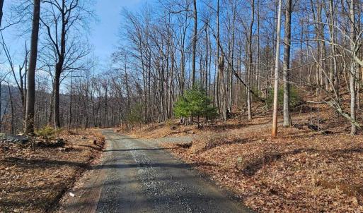 Photo #7 of 2245 RED BIRD DR, STANARDSVILLE, VA 31.9 acres
