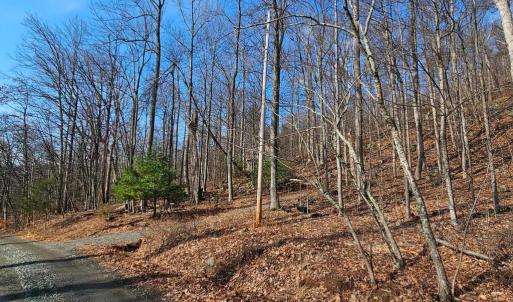 Photo #8 of 2245 RED BIRD DR, STANARDSVILLE, VA 31.9 acres