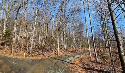 Photo #9 of 2245 RED BIRD DR, STANARDSVILLE, VA 31.9 acres