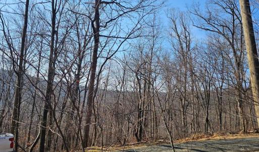 Photo #12 of 2245 RED BIRD DR, STANARDSVILLE, VA 31.9 acres