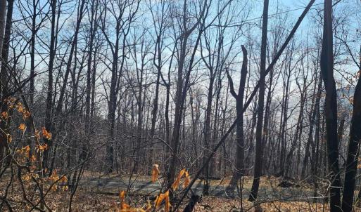 Photo #13 of 2245 RED BIRD DR, STANARDSVILLE, VA 31.9 acres