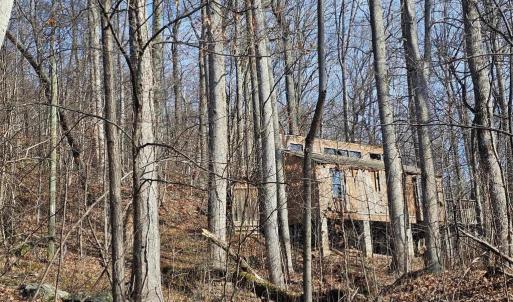 Photo #19 of 2245 RED BIRD DR, STANARDSVILLE, VA 31.9 acres
