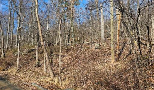 Photo #14 of 2245 RED BIRD DR, STANARDSVILLE, VA 31.9 acres