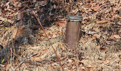 Photo #21 of 2245 RED BIRD DR, STANARDSVILLE, VA 31.9 acres