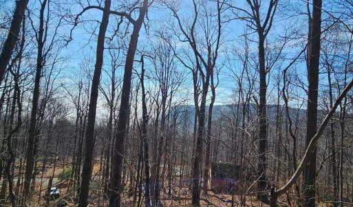 Photo #18 of 2245 RED BIRD DR, STANARDSVILLE, VA 31.9 acres