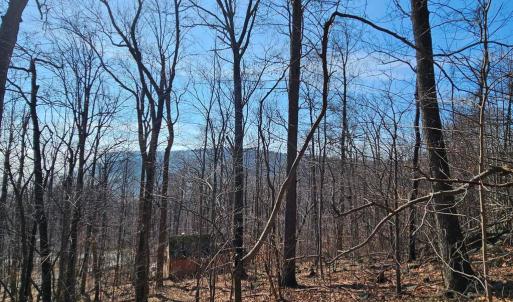 Photo #3 of 2245 RED BIRD DR, STANARDSVILLE, VA 31.9 acres