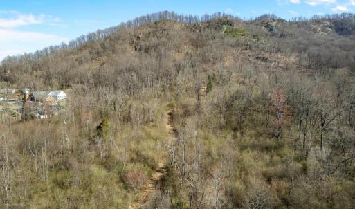 Photo #7 of 31 ORCHARD RD, LOVINGSTON, VA 35.2 acres