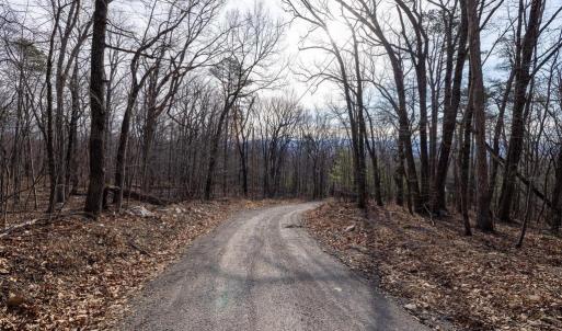 Photo #16 of NATIONAL FOREST ACCESS RD, LURAY, VA 1.3 acres