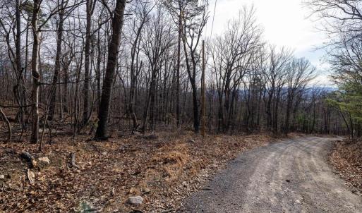 Photo #17 of NATIONAL FOREST ACCESS RD, LURAY, VA 1.3 acres