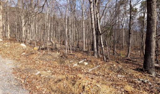 Photo #19 of NATIONAL FOREST ACCESS RD, LURAY, VA 1.3 acres
