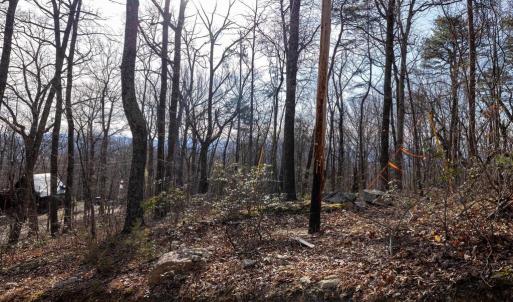 Photo #20 of NATIONAL FOREST ACCESS RD, LURAY, VA 1.3 acres
