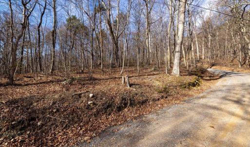 Photo #23 of NATIONAL FOREST ACCESS RD, LURAY, VA 1.3 acres