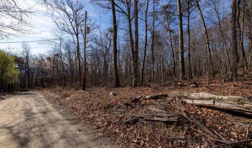 Photo #24 of NATIONAL FOREST ACCESS RD, LURAY, VA 1.3 acres