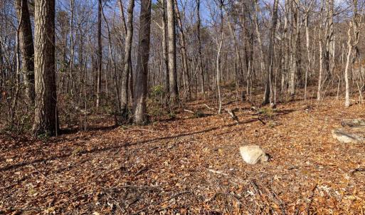 Photo #25 of NATIONAL FOREST ACCESS RD, LURAY, VA 1.3 acres