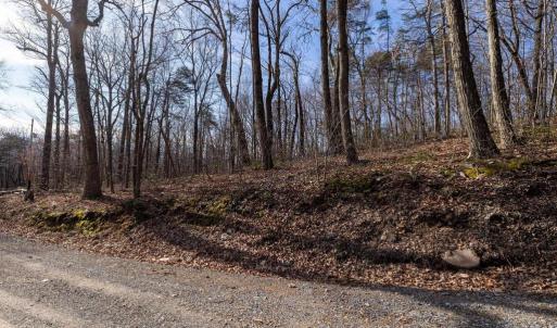 Photo #21 of NATIONAL FOREST ACCESS RD, LURAY, VA 1.3 acres