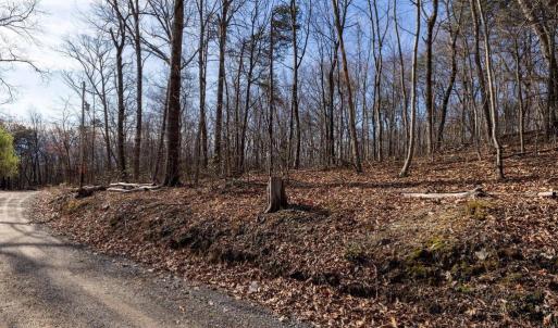 Photo #22 of NATIONAL FOREST ACCESS RD, LURAY, VA 1.3 acres