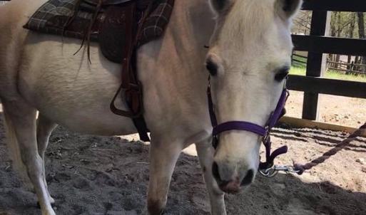 Photo #28 of 1915 LAKEVIEW PKWY, LOCUST GROVE, VA 0.4 acres