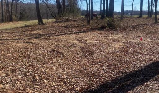 Photo #6 of SKY RIDGE TRL, CULPEPER, VA 10.1 acres
