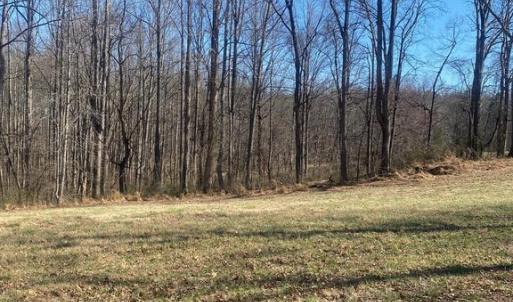 Photo #8 of SKY RIDGE TRL, CULPEPER, VA 10.1 acres